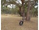 113 Nielsens Road, Stanthorpe QLD 4380