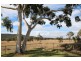 66 Paling Yard, Wallangarra QLD 4383