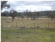 Lot 13 Morwood Road, Stanthorpe QLD 4380