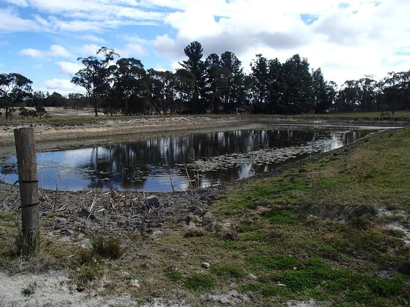 Lot 1,  Newlands Road ( Cottonvale), Stanthorpe QLD 4380