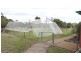 Stanthorpe QLD 4380