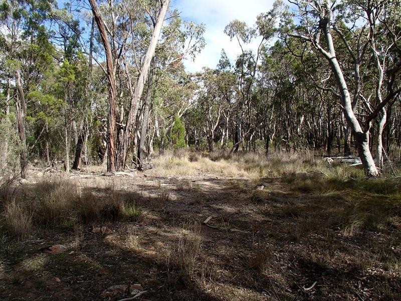 Lot 3 Yarrabbee Lane, Stanthorpe QLD 4380