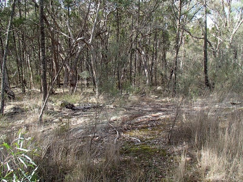 Lot 3 Yarrabbee Lane, Stanthorpe QLD 4380