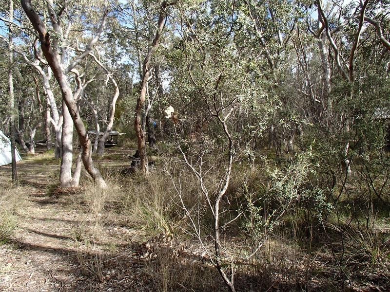Lot 3 Yarrabbee Lane, Stanthorpe QLD 4380