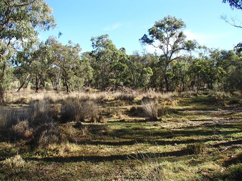 9 Caves Road, Stanthorpe QLD 4380