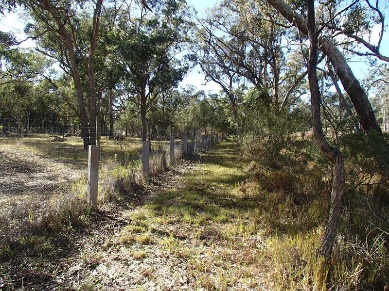 9 Caves Road, Stanthorpe QLD 4380