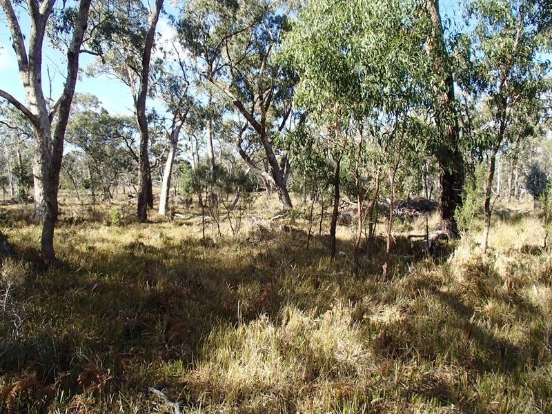 9 Caves Road, Stanthorpe QLD 4380