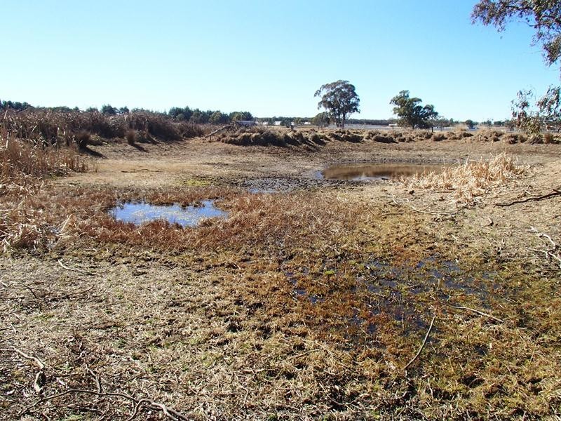 Lot 141,  Hutchinsons Lane, Stanthorpe QLD 4380