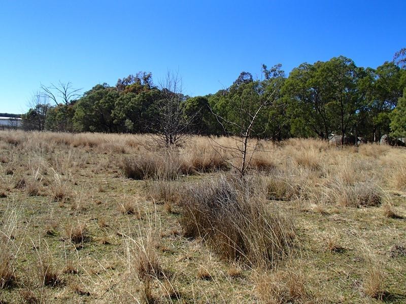 Lot 141,  Hutchinsons Lane, Stanthorpe QLD 4380