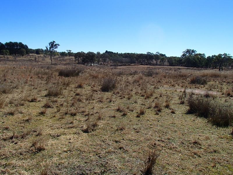 Lot 141,  Hutchinsons Lane, Stanthorpe QLD 4380