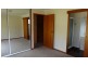 5 Plant, Stanthorpe QLD 4380