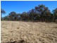 Lot 1,  Ballandean Street, Stanthorpe QLD 4380