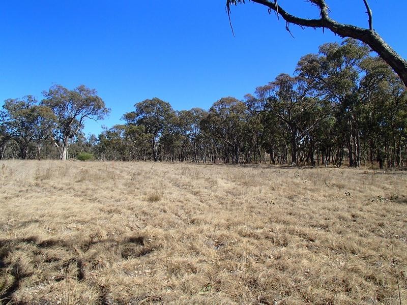Lot 1,  Ballandean Street, Stanthorpe QLD 4380