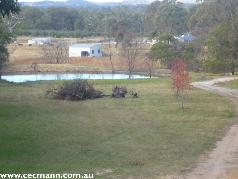 23 Mckechnie Road, Liston NSW 2372