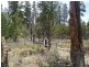 Lot 163, Ironbark Road, Stanthorpe QLD 4380