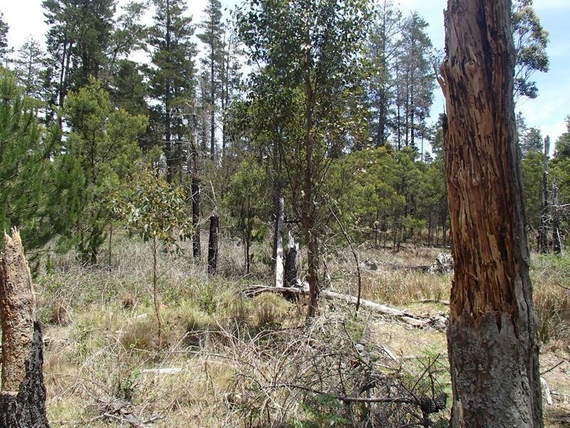 Lot 163, Ironbark Road, Stanthorpe QLD 4380