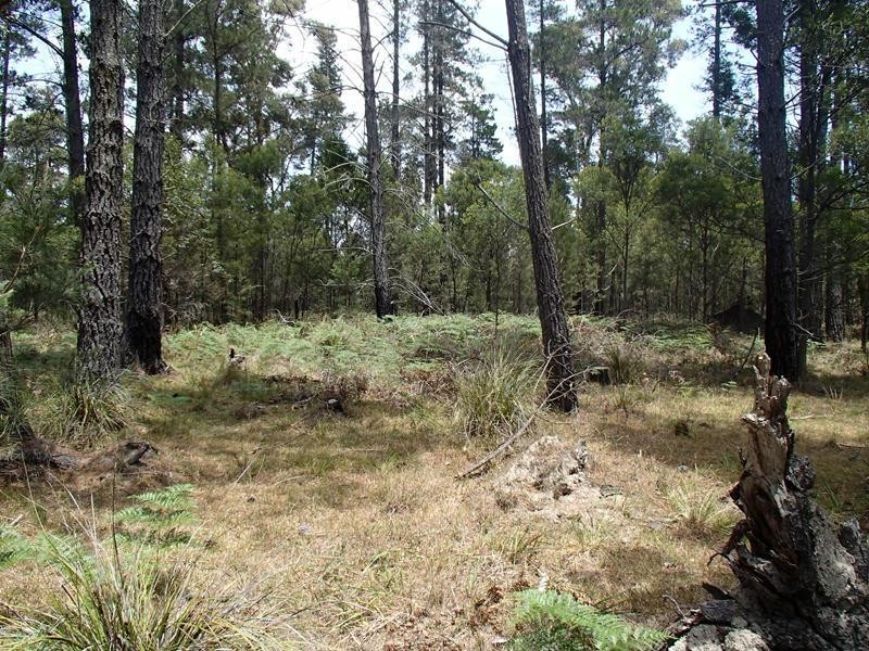 Lot 163, Ironbark Road, Stanthorpe QLD 4380