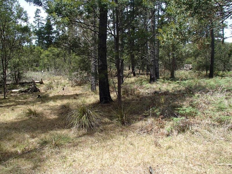 Lot 163, Ironbark Road, Stanthorpe QLD 4380