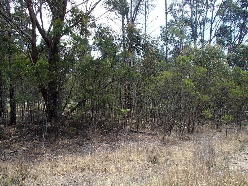 Lot 163, Ironbark Road, Stanthorpe QLD 4380