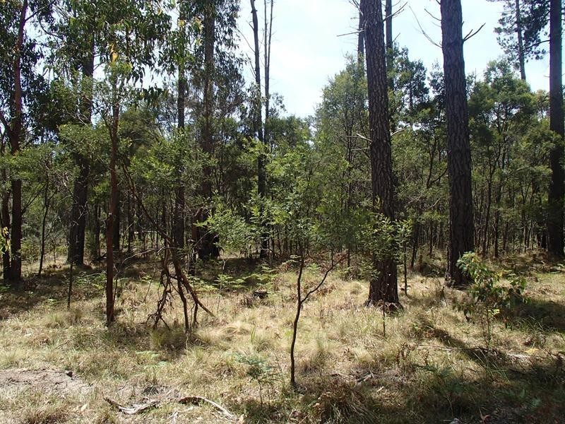 Lot 162, Ironbark Road, Stanthorpe QLD 4380