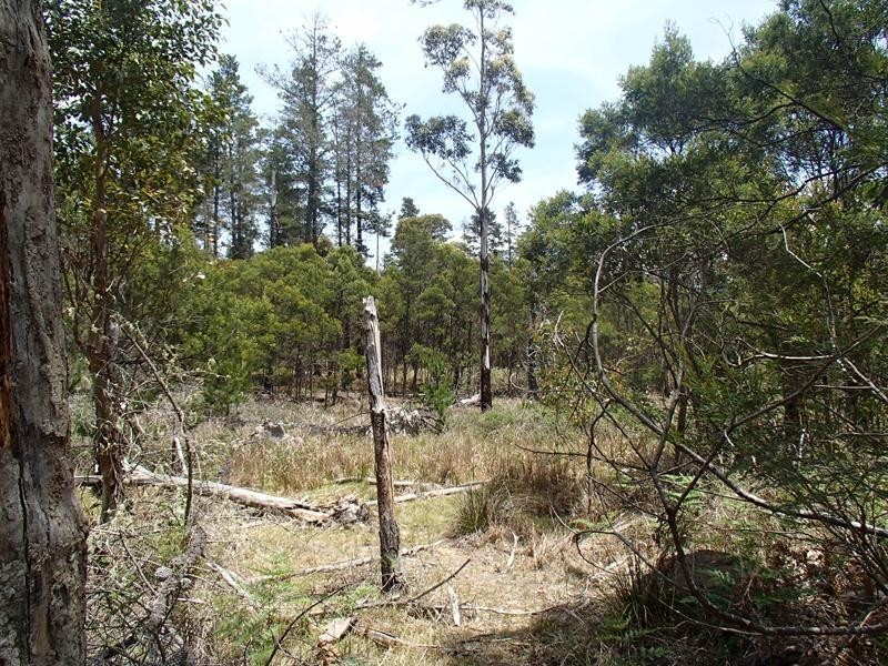 Lot 162, Ironbark Road, Stanthorpe QLD 4380