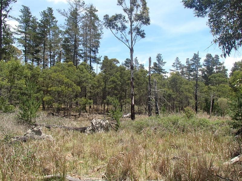 Lot 162, Ironbark Road, Stanthorpe QLD 4380