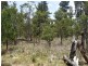 Lot 162, Ironbark Road, Stanthorpe QLD 4380