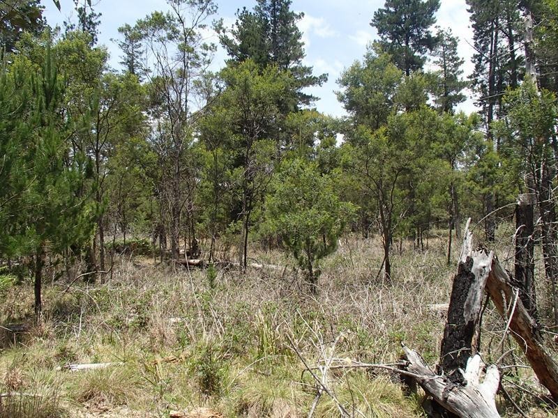 Lot 162, Ironbark Road, Stanthorpe QLD 4380