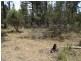 Lot 162, Ironbark Road, Stanthorpe QLD 4380