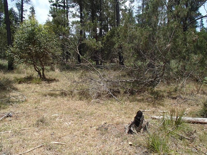 Lot 162, Ironbark Road, Stanthorpe QLD 4380