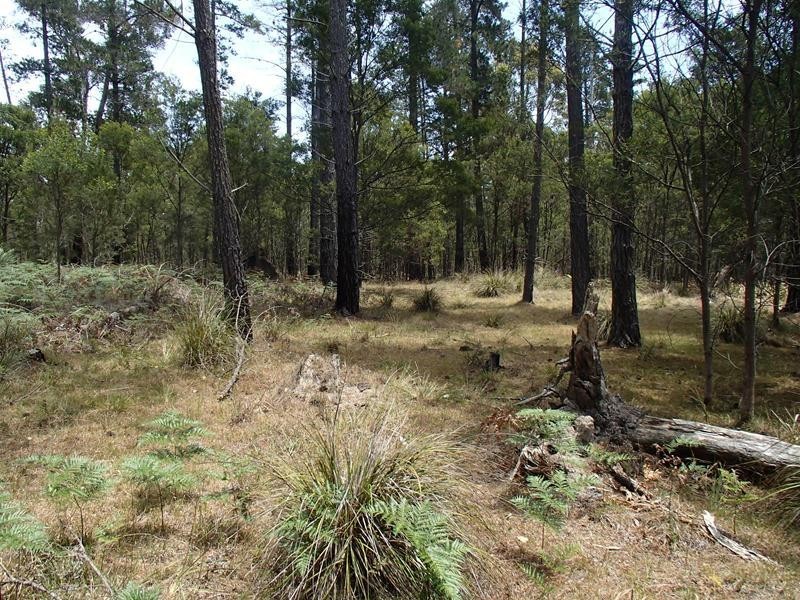 Lot 162, Ironbark Road, Stanthorpe QLD 4380
