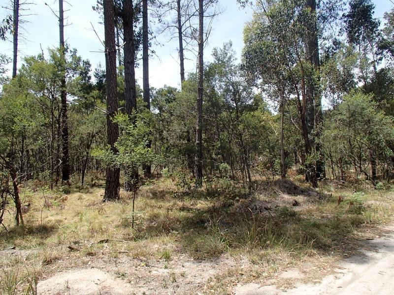 Lot 162, Ironbark Road, Stanthorpe QLD 4380