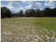 197 Bradley Lane, Stanthorpe QLD 4380
