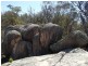 197 Bradley Lane, Stanthorpe QLD 4380