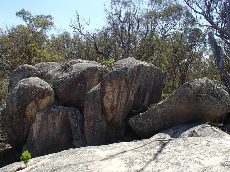 197 Bradley Lane, Stanthorpe QLD 4380