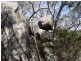 197 Bradley Lane, Stanthorpe QLD 4380