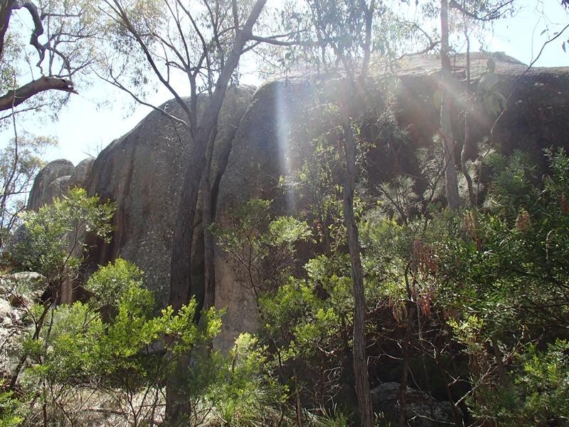 197 Bradley Lane, Stanthorpe QLD 4380