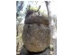 197 Bradley Lane, Stanthorpe QLD 4380