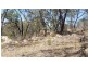 140 Limberlost Road, Stanthorpe QLD 4380