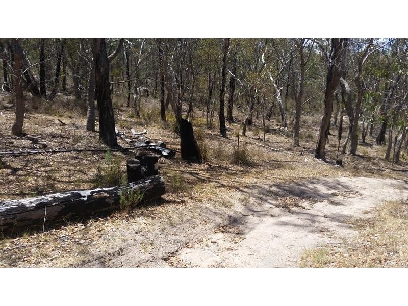 140 Limberlost Road, Stanthorpe QLD 4380