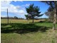 471 Nielsens Road, Stanthorpe QLD 4380