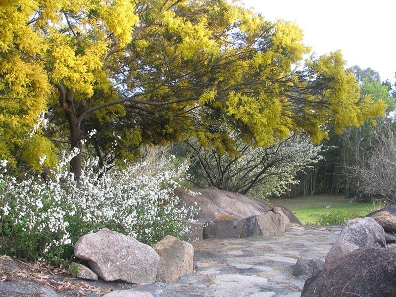 103 Old Caves Road, Stanthorpe QLD 4380
