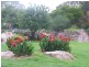 103 Old Caves Road, Stanthorpe QLD 4380