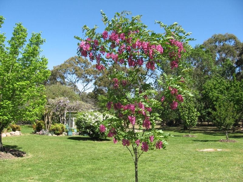 103 Old Caves Road, Stanthorpe QLD 4380