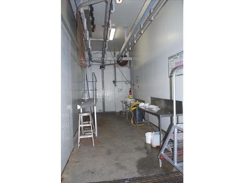 447 Texas Road, Stanthorpe QLD 4380