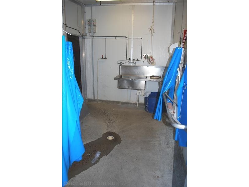 447 Texas Road, Stanthorpe QLD 4380