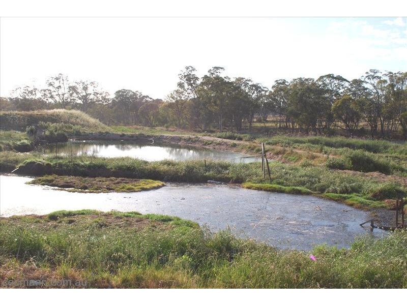 447 Texas Road, Stanthorpe QLD 4380