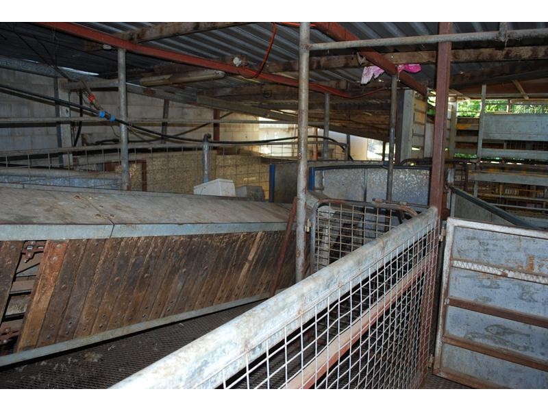 447 Texas Road, Stanthorpe QLD 4380