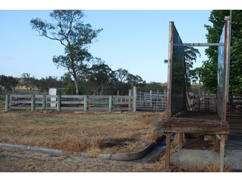 447 Texas Road, Stanthorpe QLD 4380