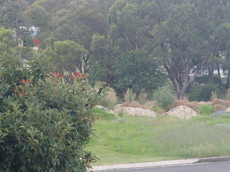 25 Leslie Parade, Stanthorpe QLD 4380